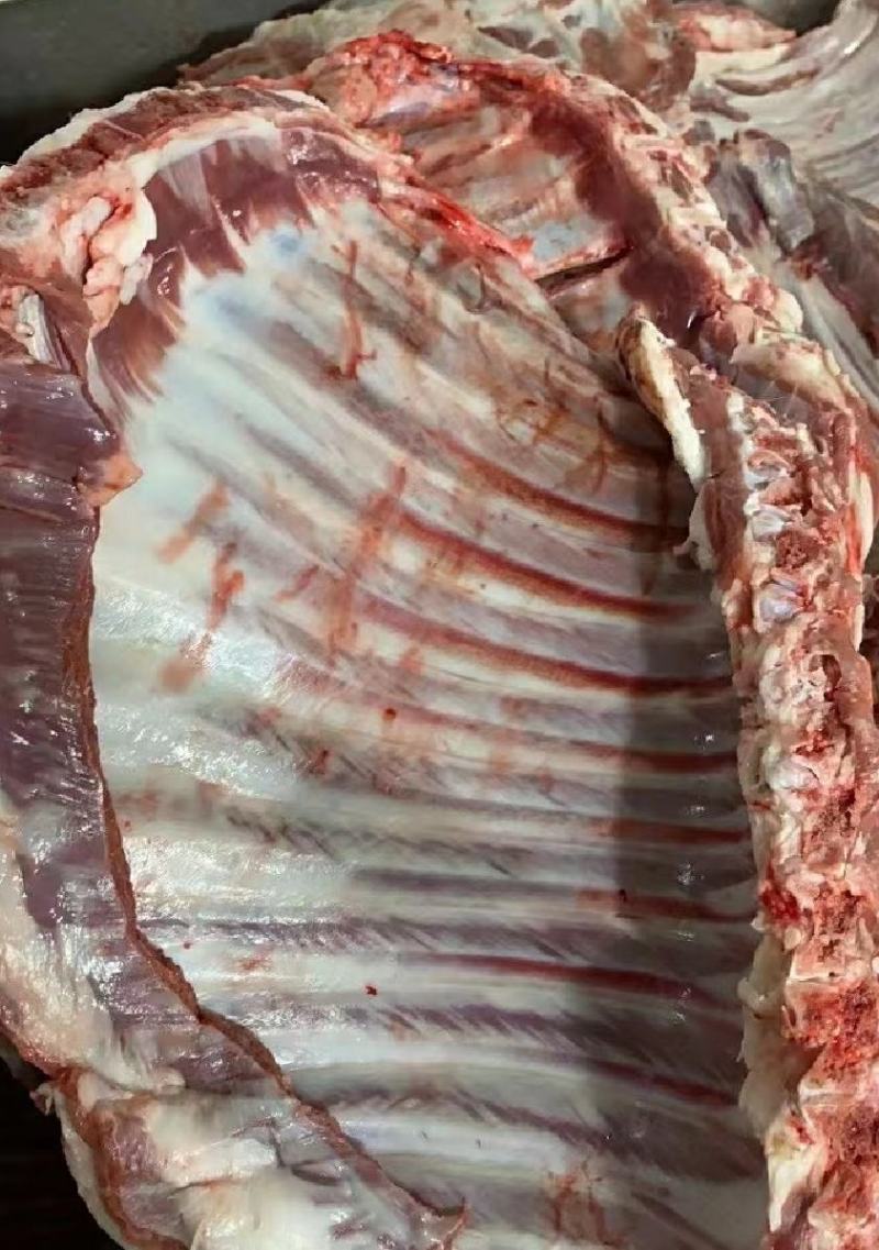 最新羊排批发之旅,自然美景与内心平静的寻觅