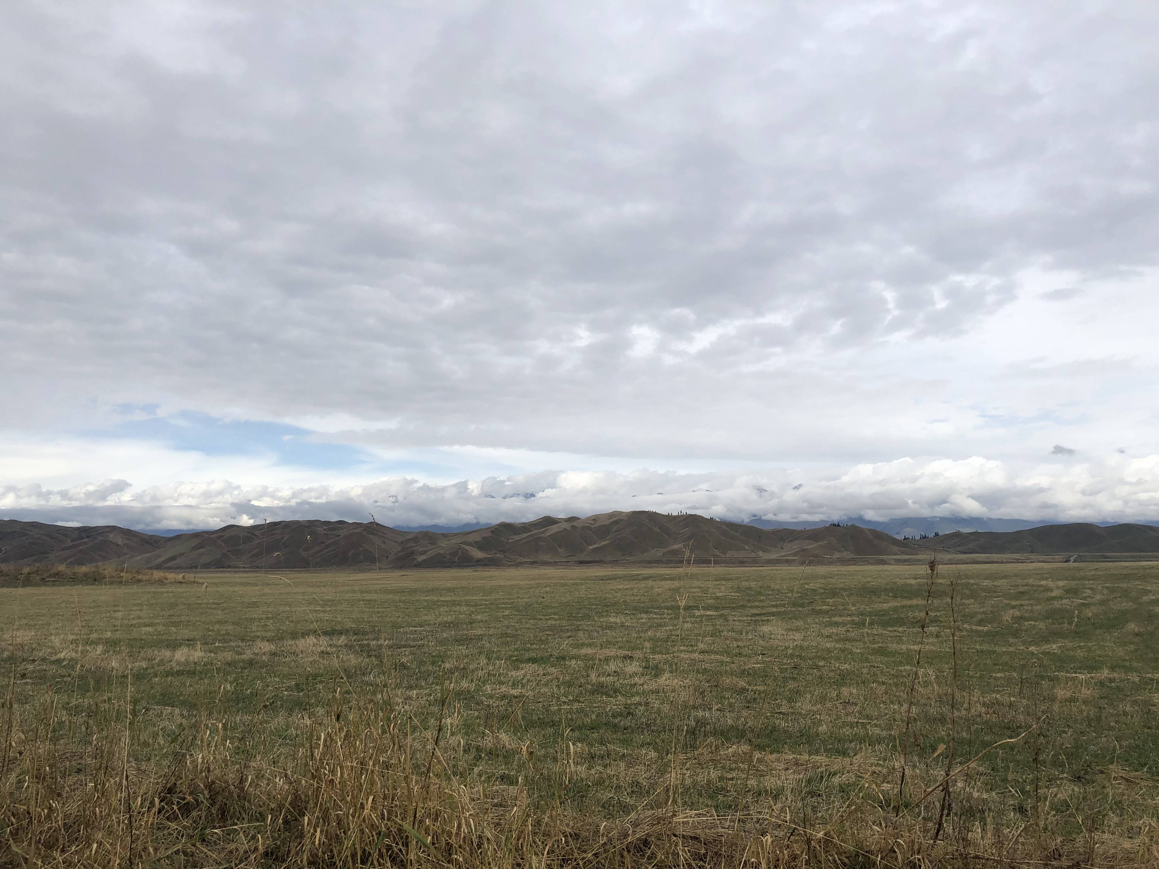 腾信股份徐炜,工作、友情与陪伴的温馨日常最新动态