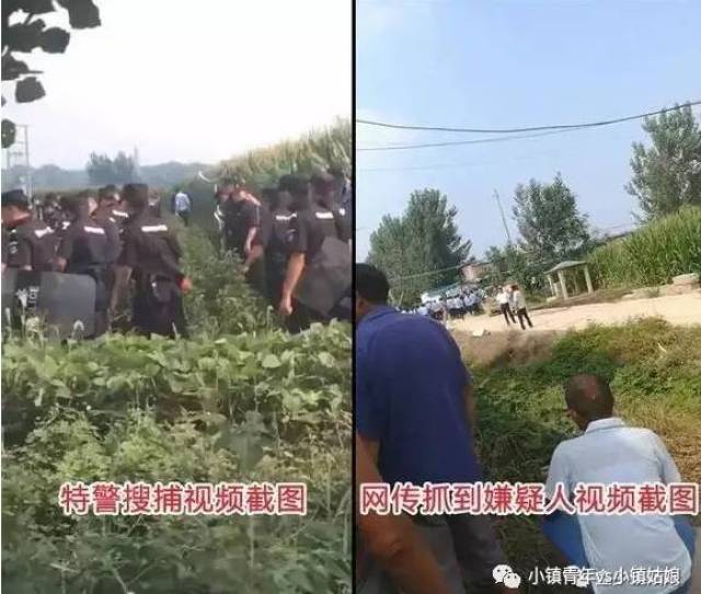 菏泽嘉祥杀人事件真相逐渐浮出水面,最新进展揭示惊人内幕