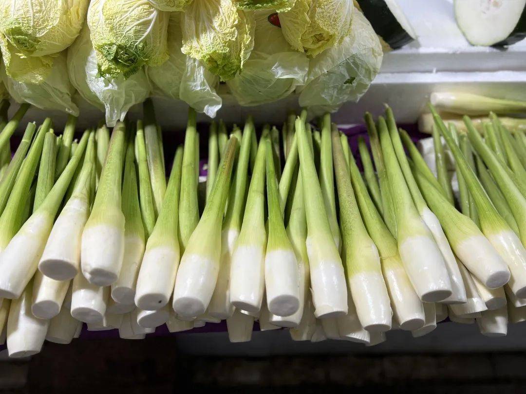 茭白行情详解,把握市场动态与行情分析策略