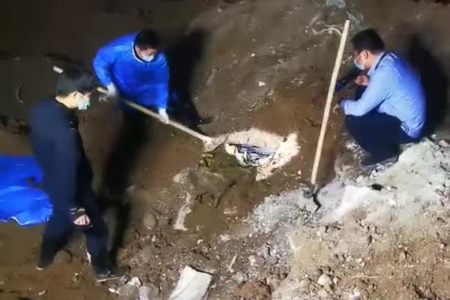 临高最新命案凶手照片揭秘，寻找与识别指南