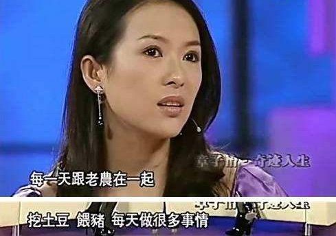 母亲的承诺演员与小巷中的秘密美食馆