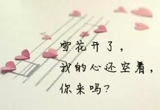 最新伤感签名,探寻内心世界的微妙变化与情感波澜