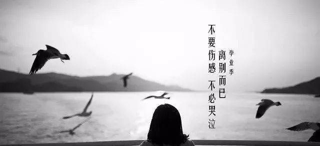 最新伤感签名,探寻内心世界的微妙变化与情感波澜