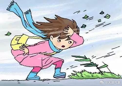 探秘小巷隐秘宝藏,最新大风背后的故事