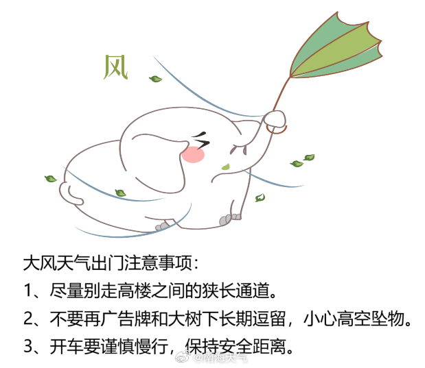 探秘小巷隐秘宝藏,最新大风背后的故事