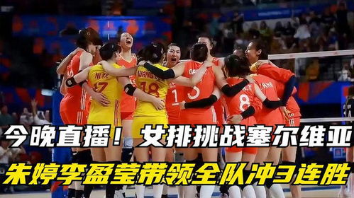 直播排球比赛,热血激情的视听盛宴盛宴开启!