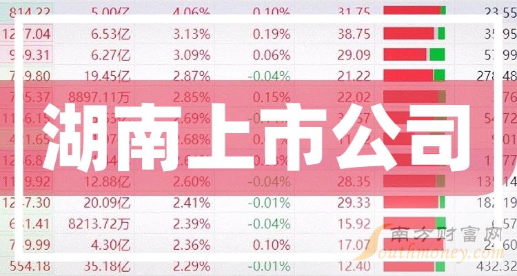 长沙上市公司深度解析与互动参与指南
