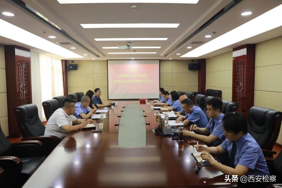时代浪潮下的资源革新与影响，最新资源速览