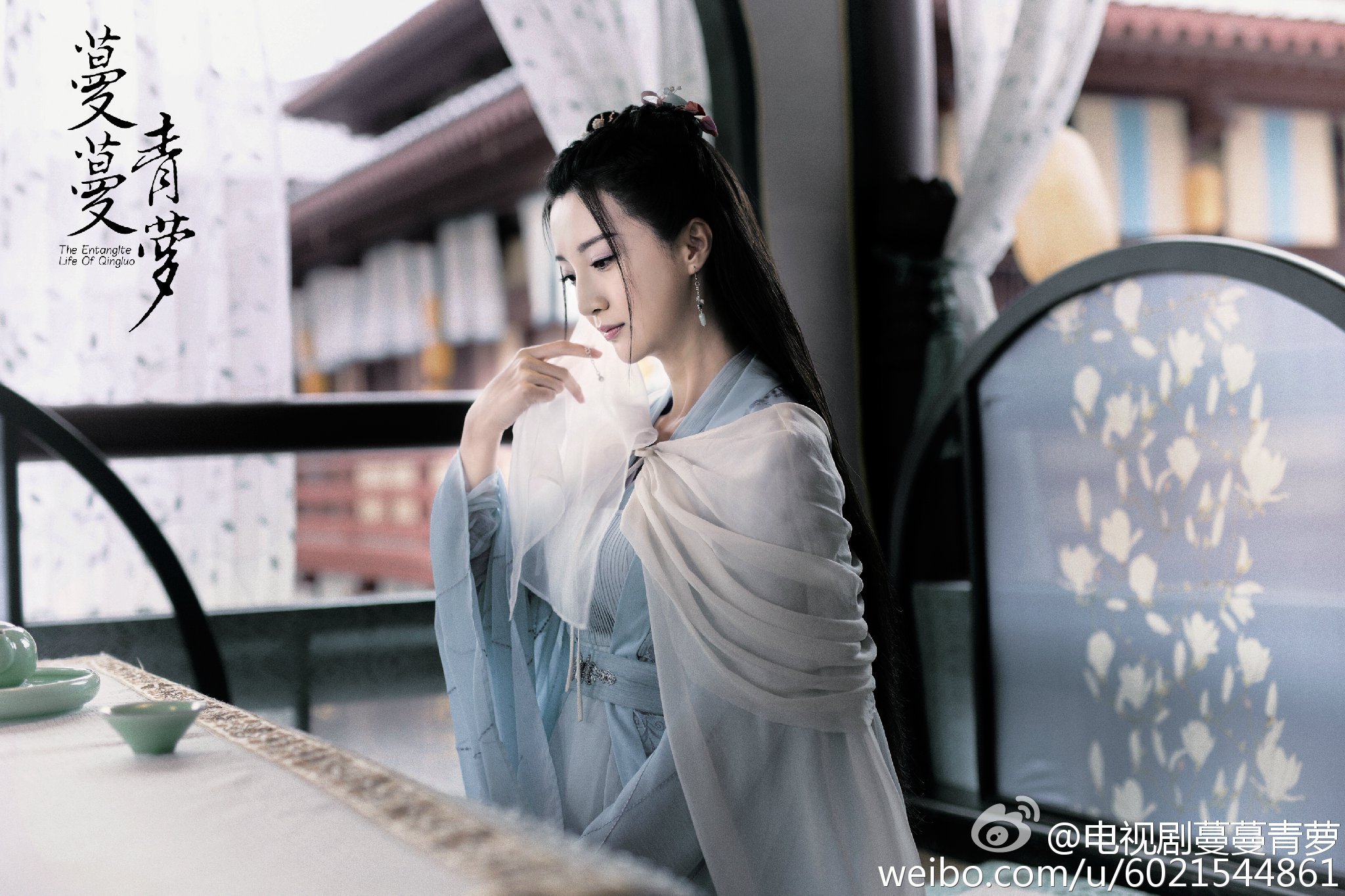 蔓蔓青萝演员阵容深度解析,角色与演员魅力揭秘