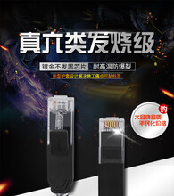 探索小巷中的隐藏宝藏,最新纯光猫特色小店揭秘