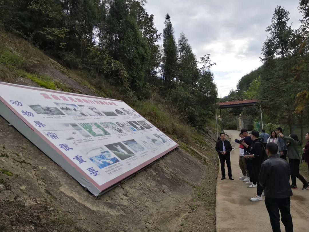 矿山火灾最新动态,巷弄深处的独特小店背后的火灾隐患探秘