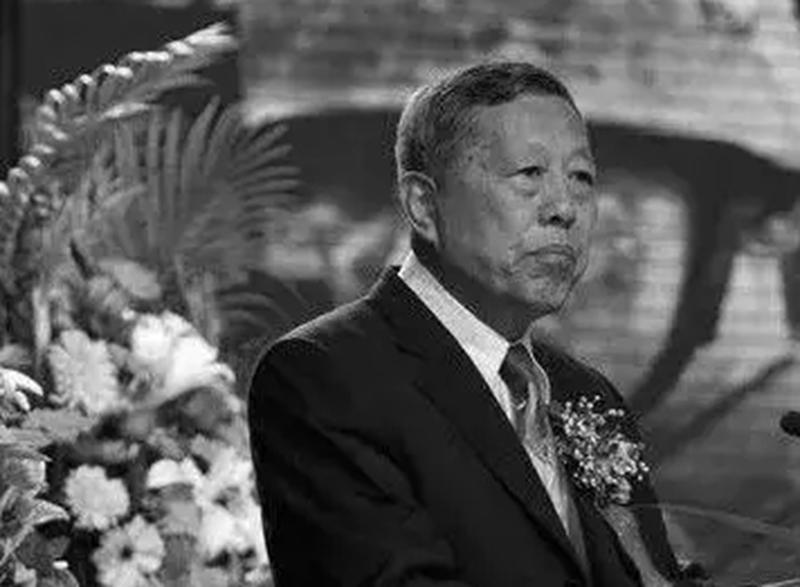 揭秘601985股票,投资价值与前景展望