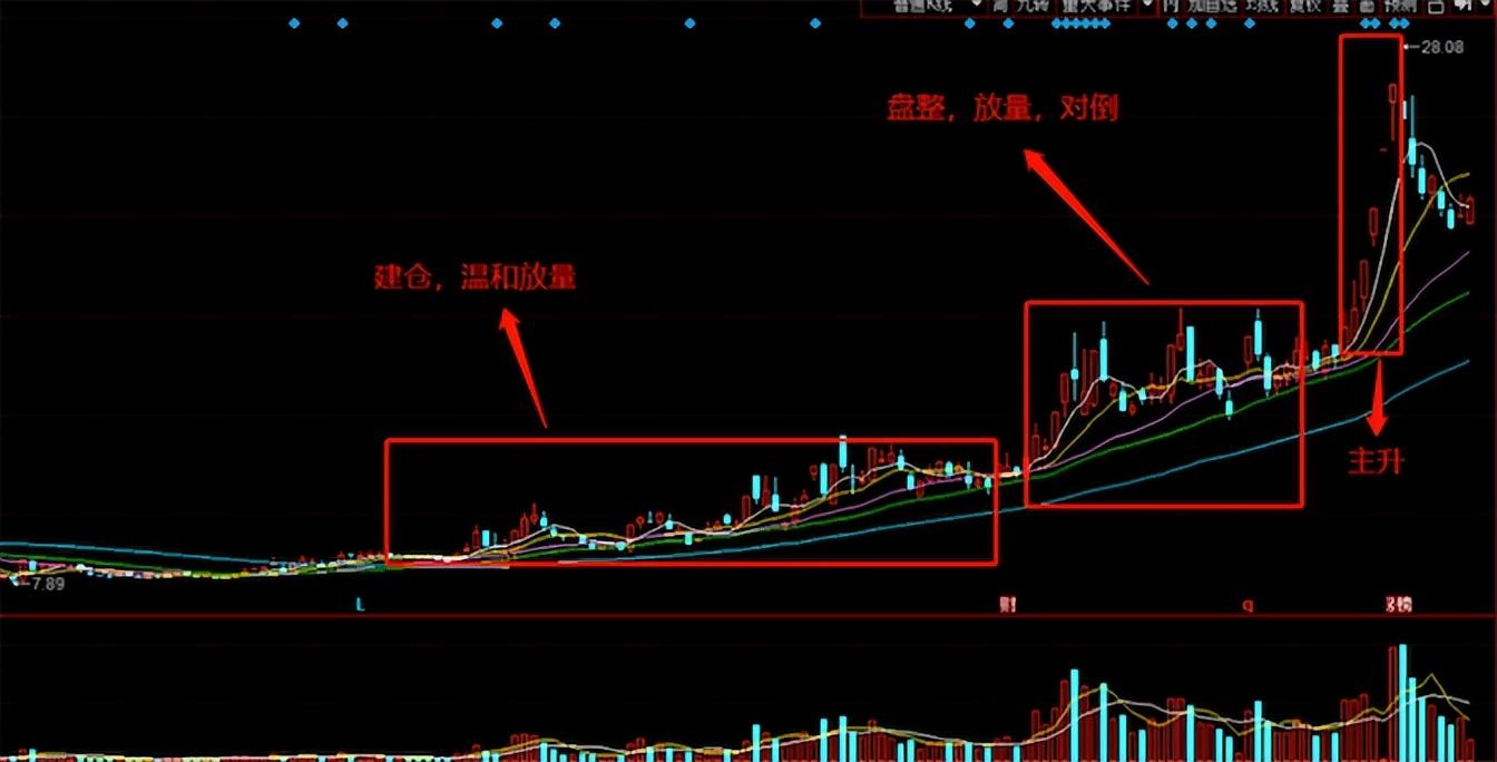 赛升药业最新消息获取指南,掌握最新动态一网打尽