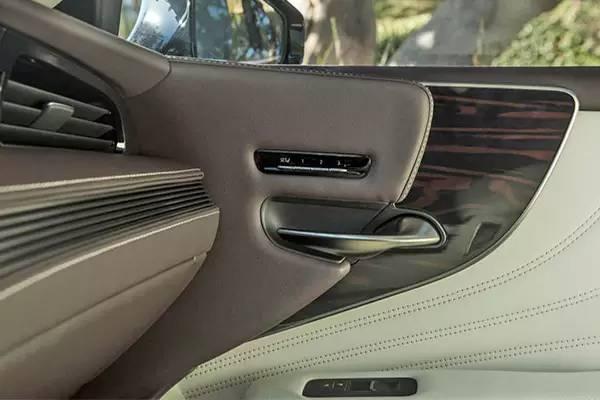 乌木最新详细指南,任务完成与技能学习步骤详解