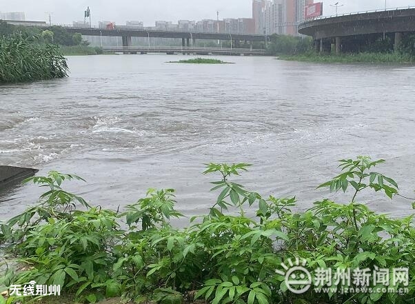 滹沱河最新水情揭秘,河畔小巷独特小店探秘之旅