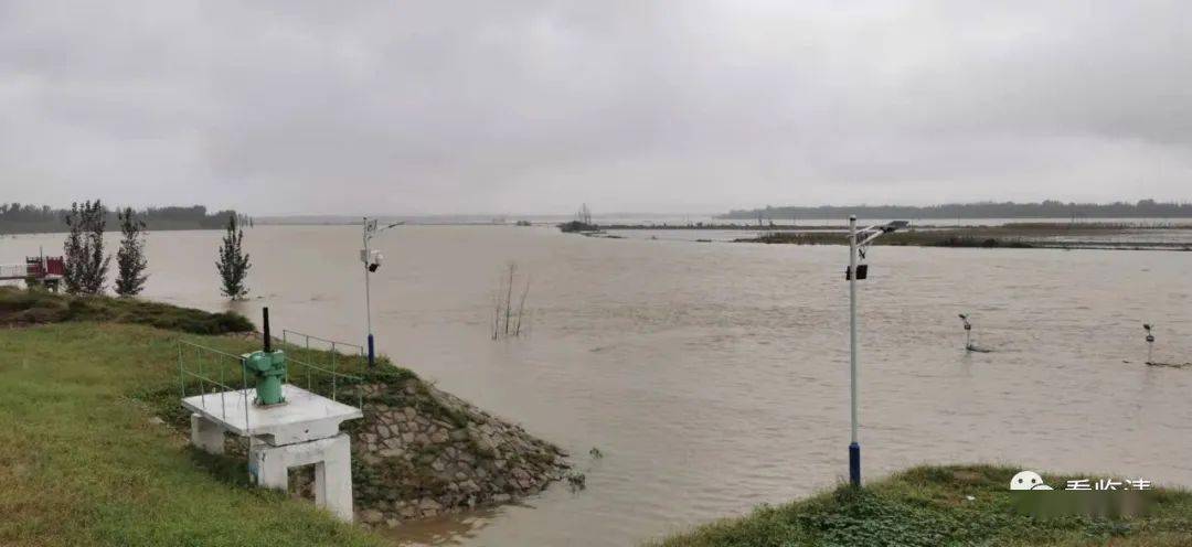 滹沱河最新水情揭秘,河畔小巷独特小店探秘之旅