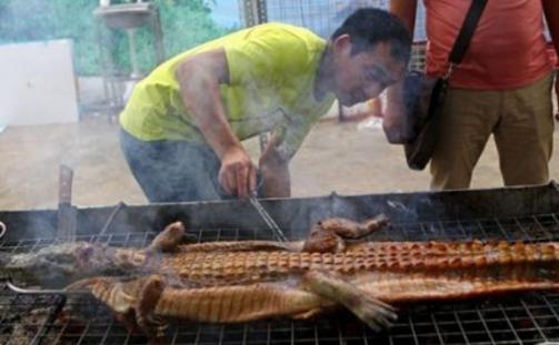 鳄鱼最新皮肤,学习与变化的魅力之旅探索之旅