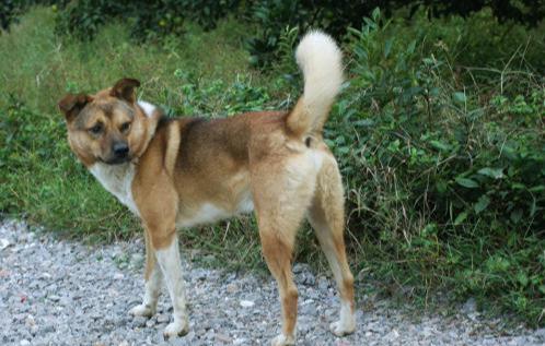 最新帝王雷的日常趣事揭秘