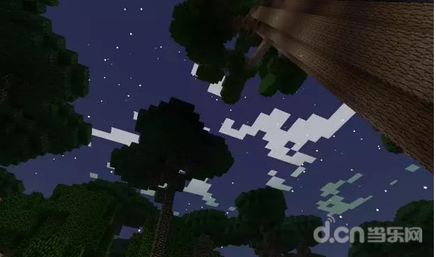 探索神秘暮色森林的自然秘境