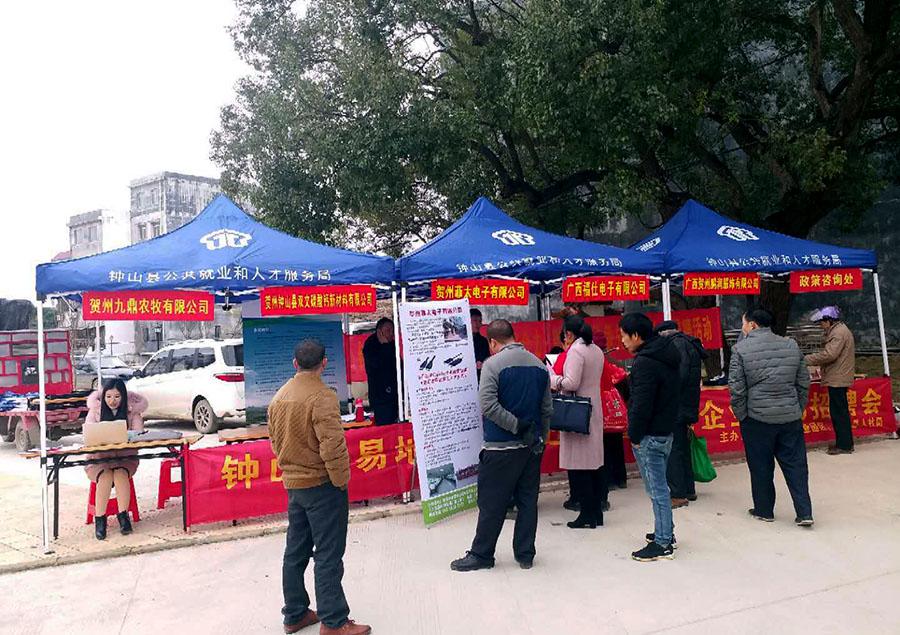 凤翔最新招聘启航,开启职业新篇章!