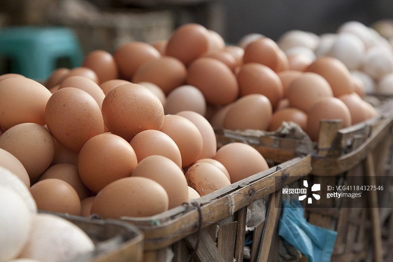 河北鸡蛋最新价格,科技智能引领生活新体验