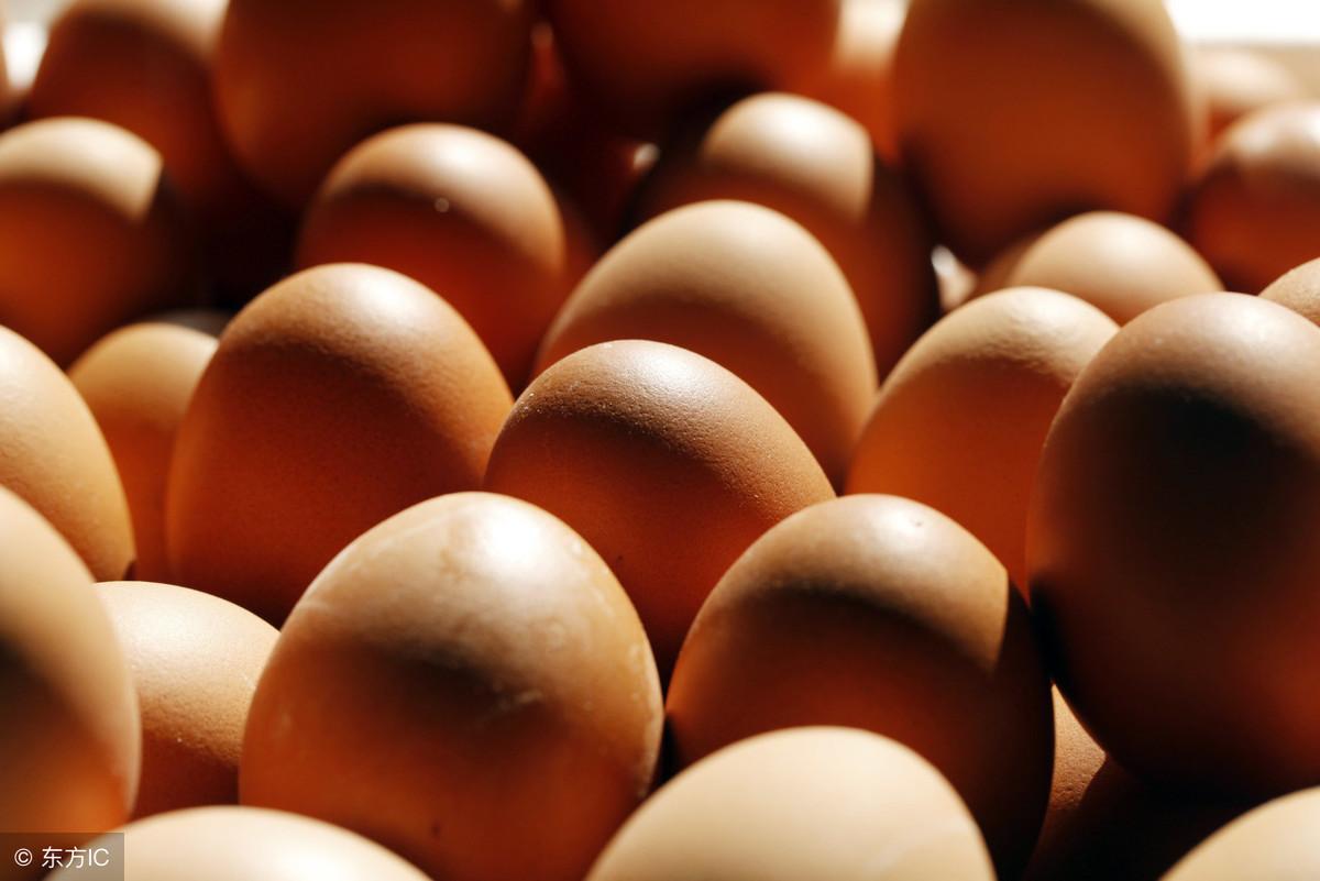 河北最新鸡蛋价格及分析概述