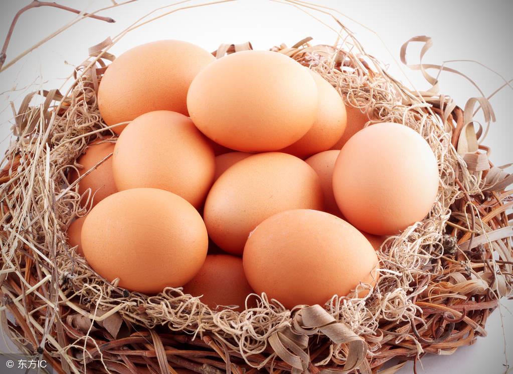 河北最新鸡蛋价格及分析概述