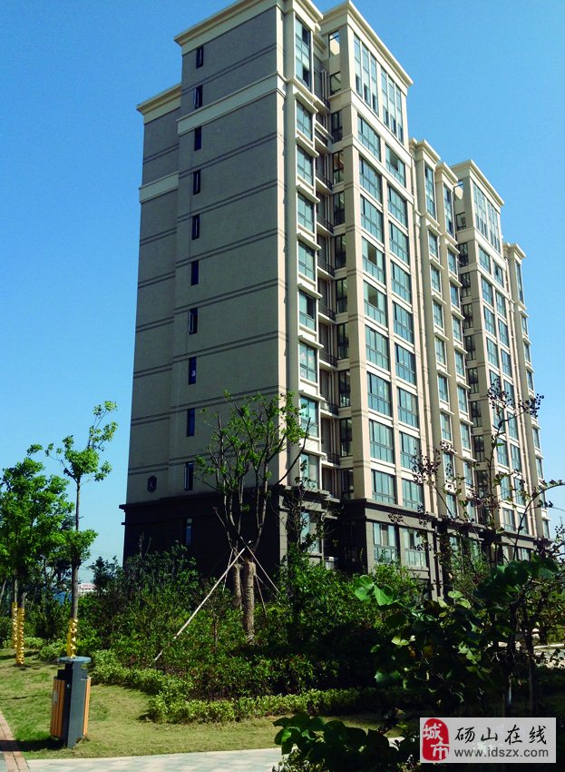 砀山房价最新动态及相关观点深度解析