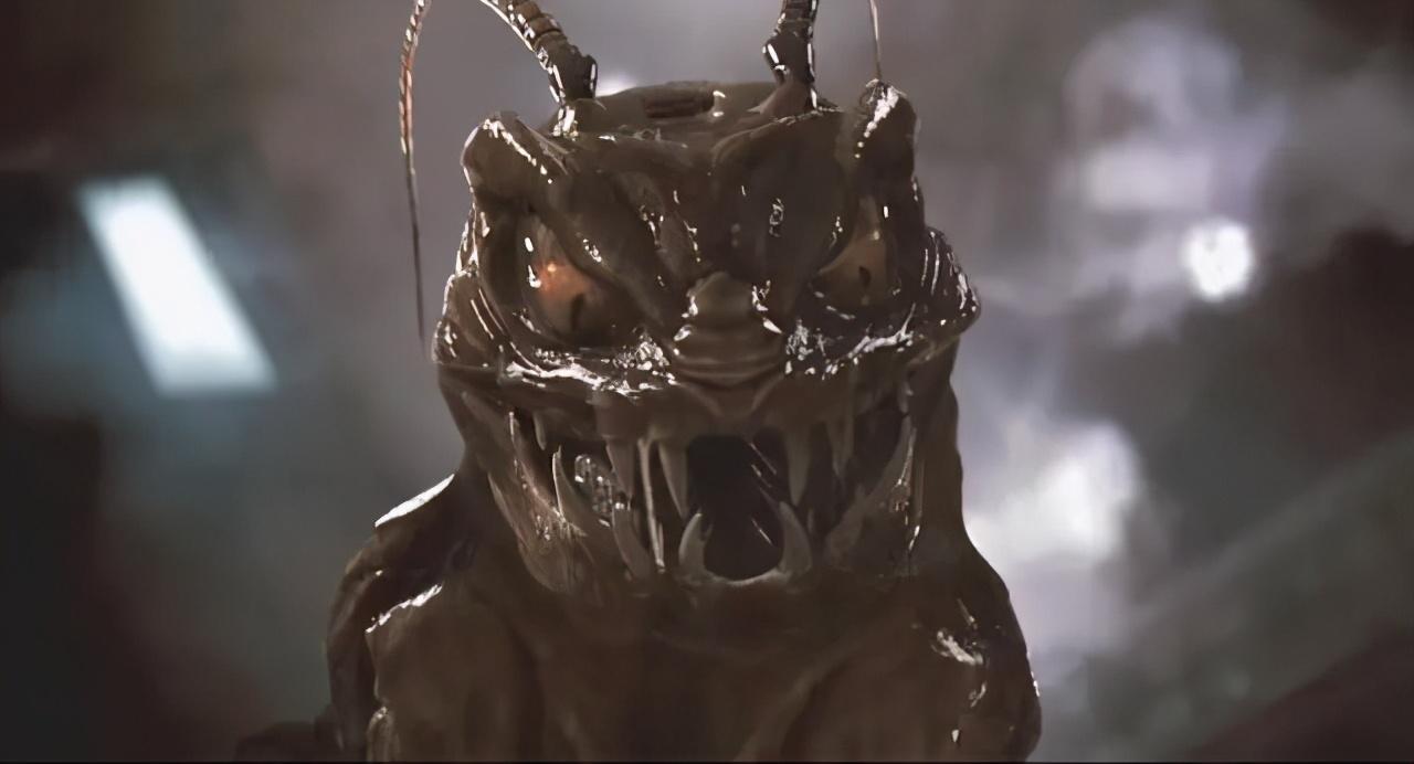 末日蟑螂最新章节,城市末端的温馨日常