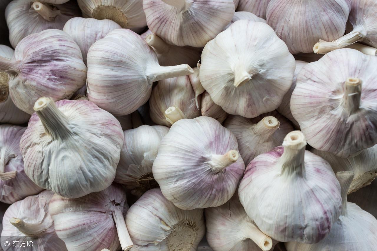 一颗蒜头的力量,今日大蒜最新价格与你的成长之路