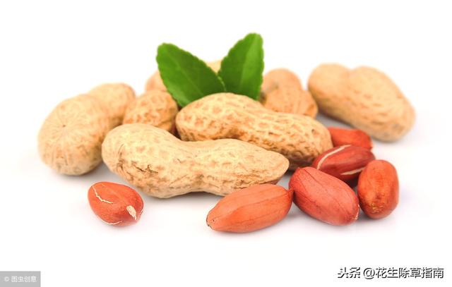 洗车服务 第162页