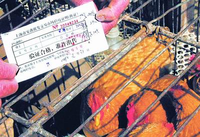 上海禽流感最新动态,全面防控,保障市民健康