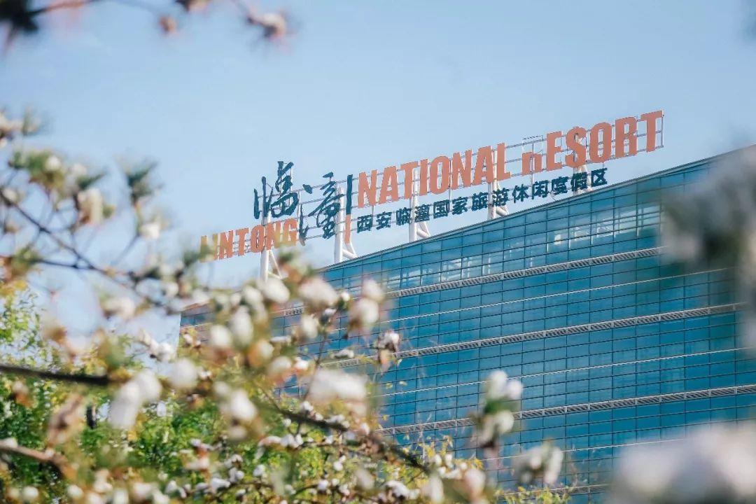 临潼度假区最新动态更新,最新消息汇总