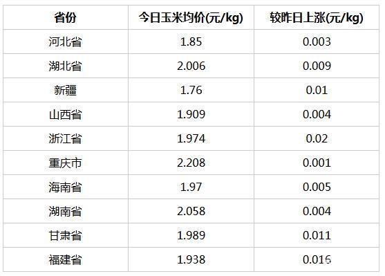 吉林省玉米价格最新动态更新
