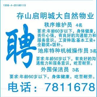 最新纸样招聘，探索未来职场趋势，启程新征程