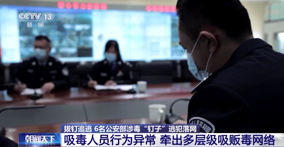 最新缉毒新闻,现状与挑战的较量