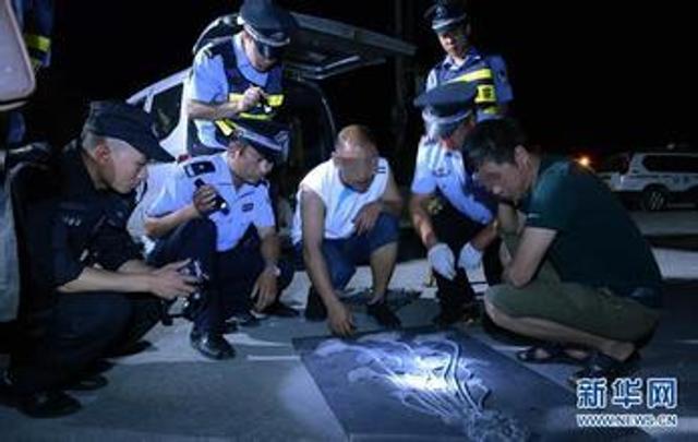 最新缉毒新闻,现状与挑战的较量