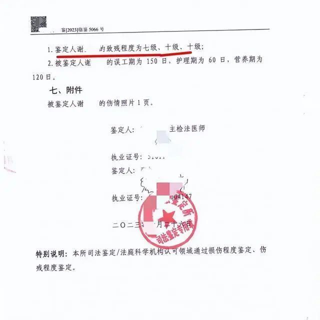 最新伤残鉴定观点论述概览