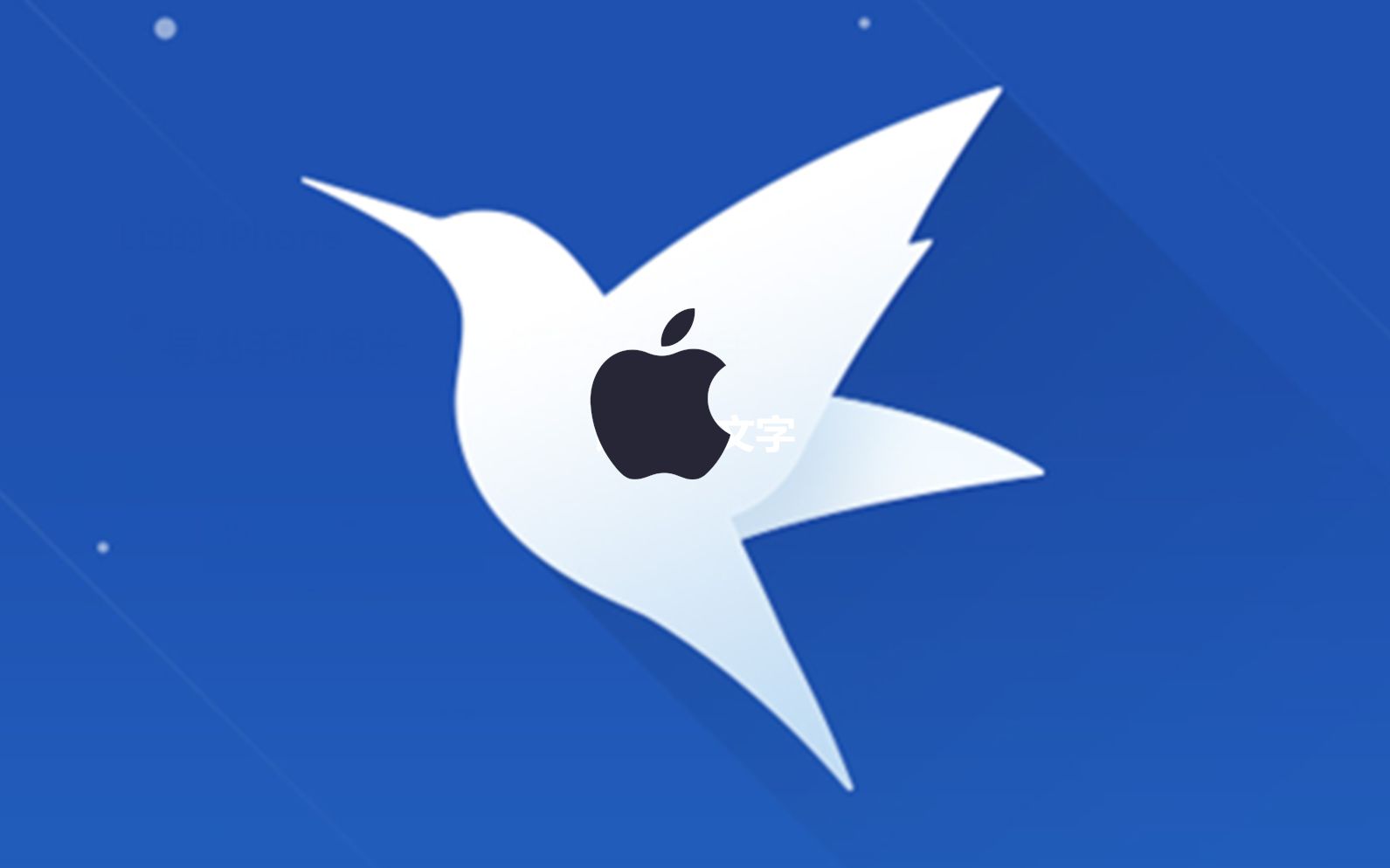 迅雷iOS最新版本的探讨与观点阐述