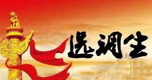 最新选调生扬帆起航,学习为航标,收获自信与成就之路