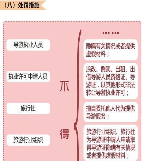 最新导游证,开启奇妙旅程之门