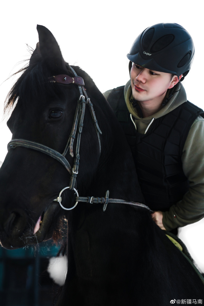 最新马日马任务完成指南,全方位教程适用于初学者与进阶用户