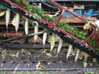 最新小型农业机械及其观点论述概览