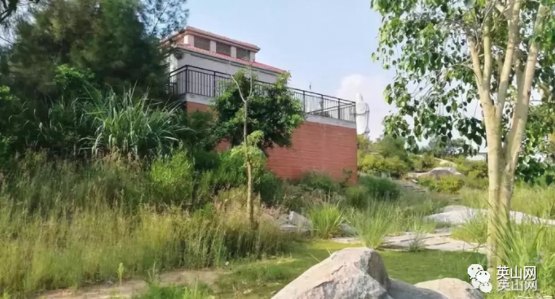 英山科技巅峰之作引领未来生活新潮流的最新消息