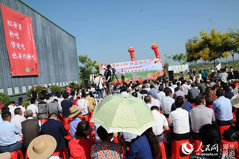 红安网最新新闻,城市温情日常,友情与家的陪伴