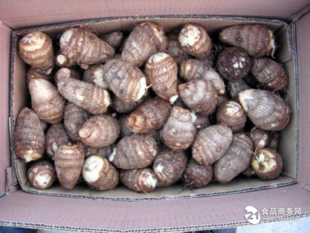 芋头最新价格行情详解,获取与分析方法指南