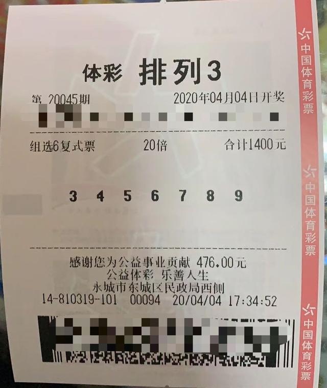 排三专家最新推荐指南,任务完成与技能提升全面攻略