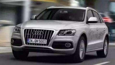 Q5最新动态更新,最新消息披露