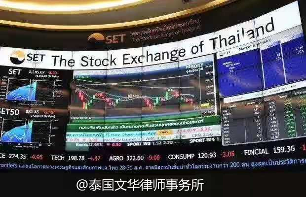 泰金服最新动态解析与观点阐述